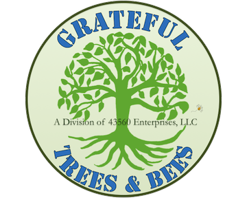 GTB-43560-Enterprises-LLC