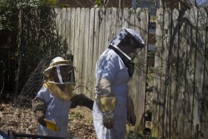 Beekeeper's Suit