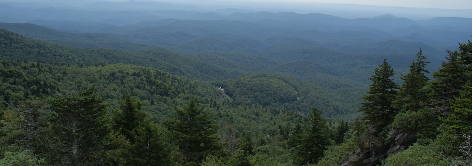 north carolina forestry consulting