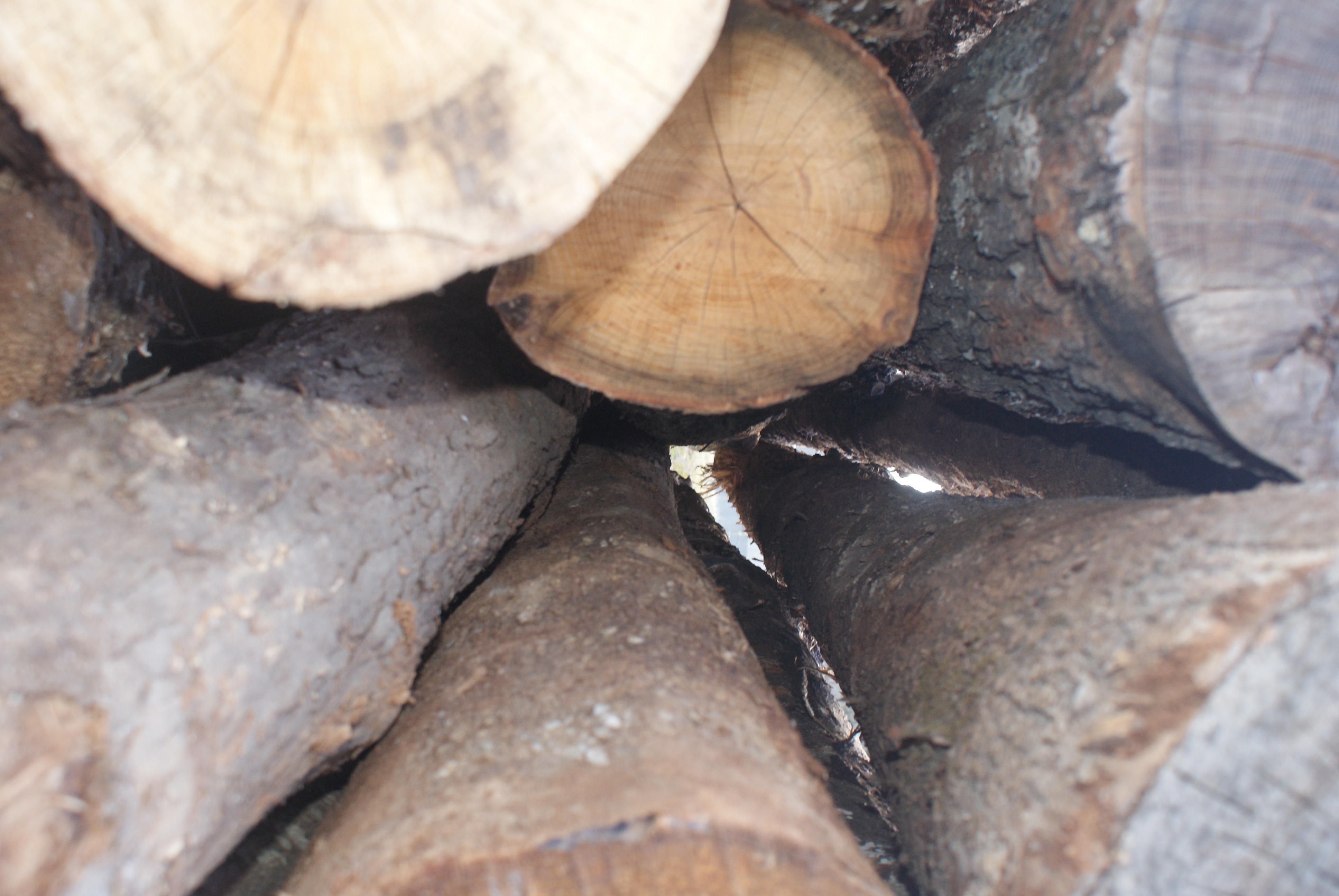 Round Log Timber Sales