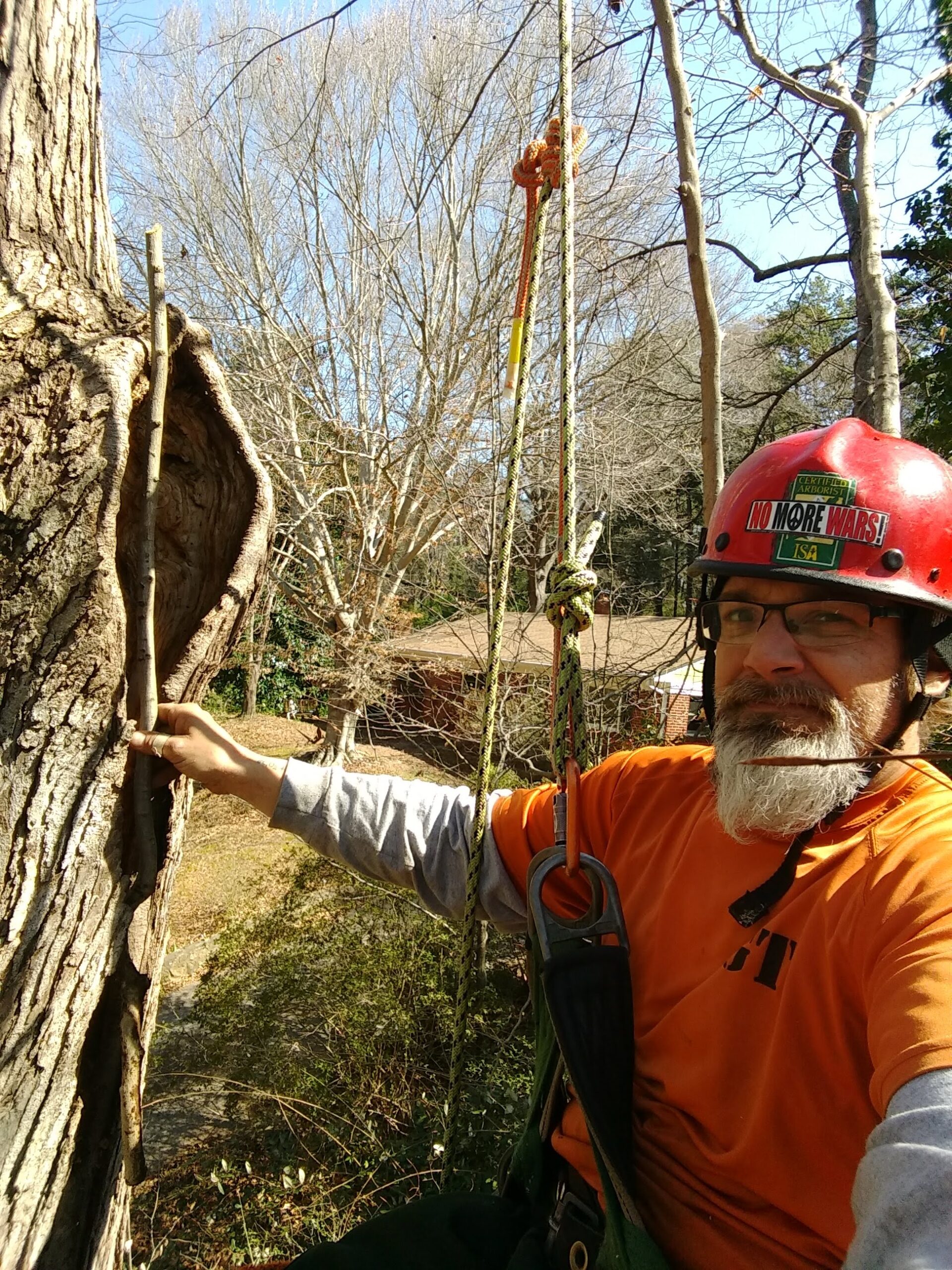 aerial decay inspection